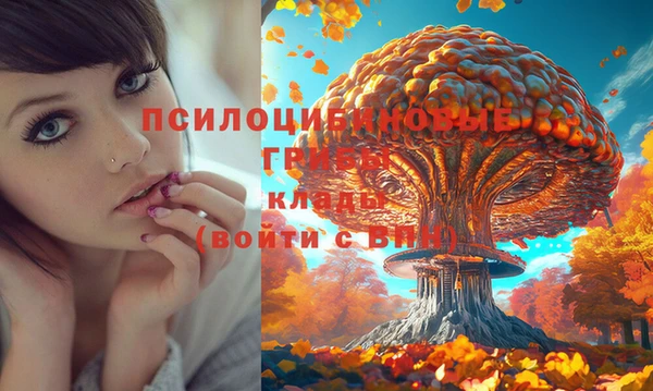 прущая мука Магадан