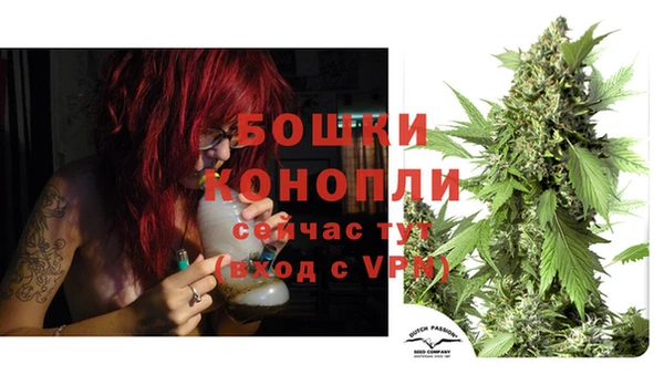 каннабис Арсеньев